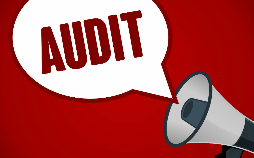 IRS Audit Technique Guides provide clues to business audits