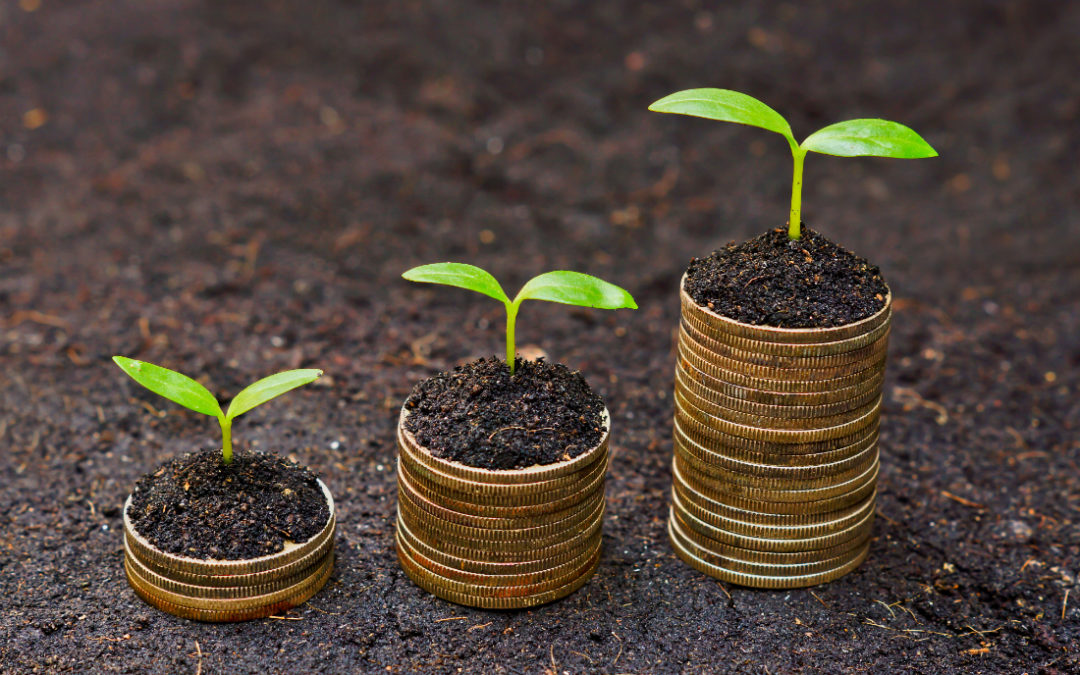 Consider the financial sustainability of your nonprofit