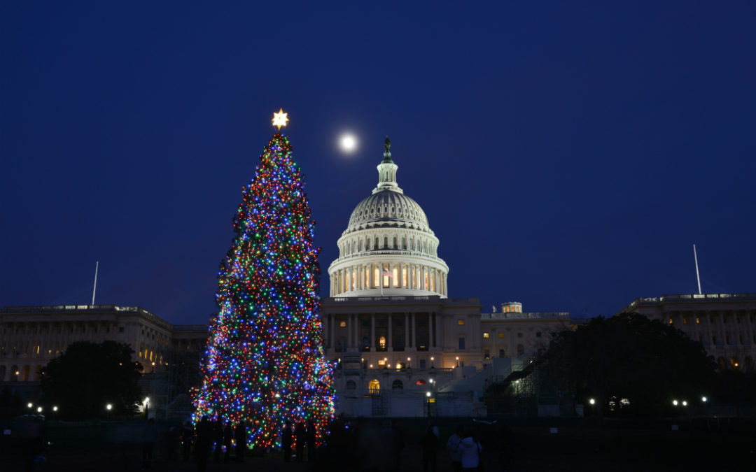 Congress gives a holiday gift in favorable tax provisions